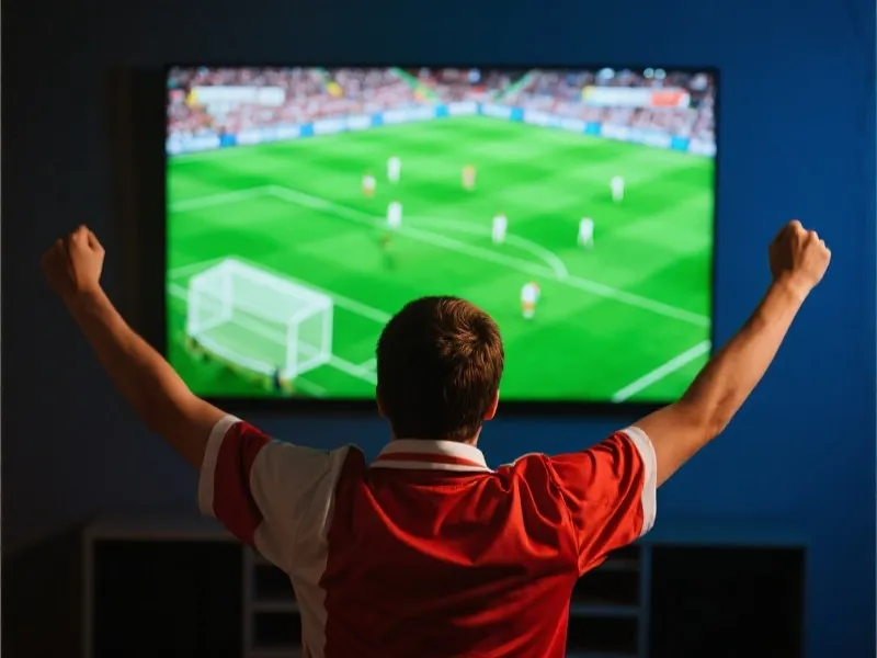 Passionate Viewing Experience